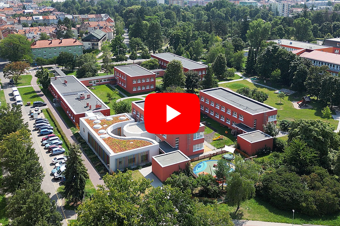 Video: jesle Prostějov